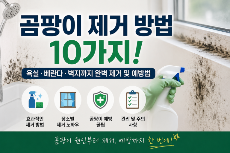 곰팡이 제거 방법 욕실 베란다 벽지 곰팡이 제거 및 예방법