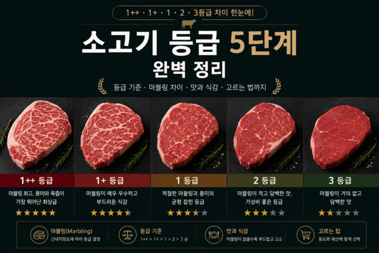 소고기 등급 5단계