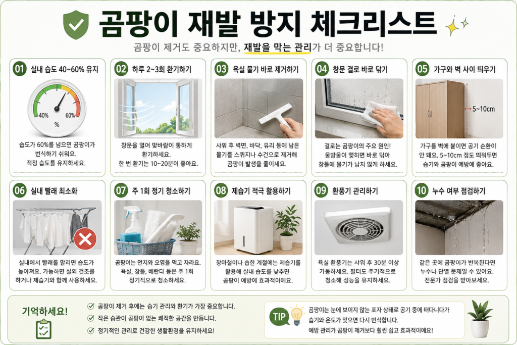 곰팡이 제거 후 재발 방지 체크리스트