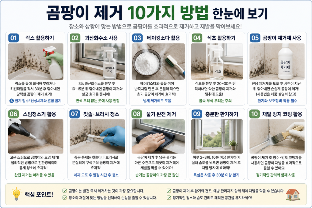 곰팡이 제거 10가지 비교