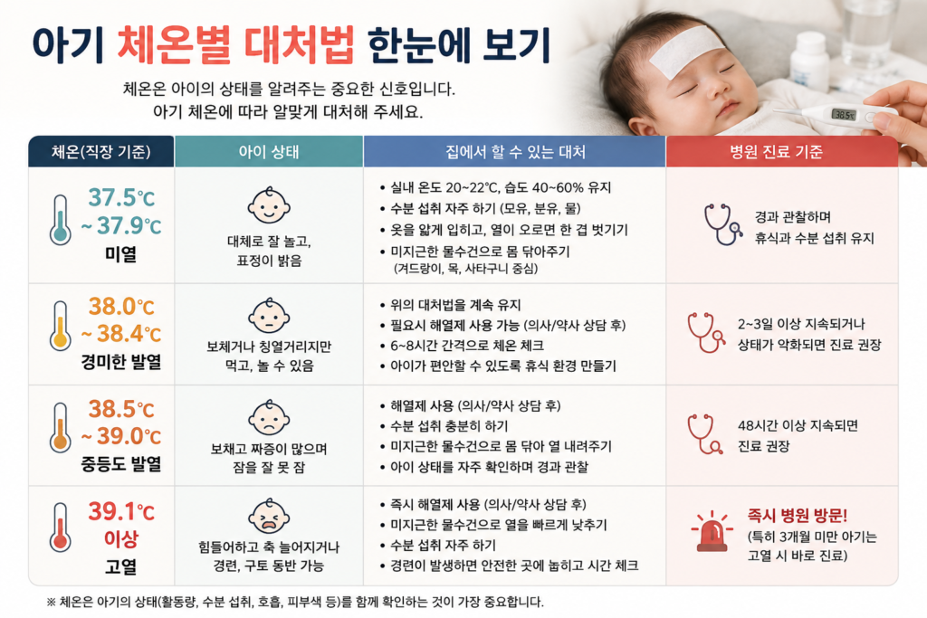 아기 열날때 체온별 대처법 한눈에 보기